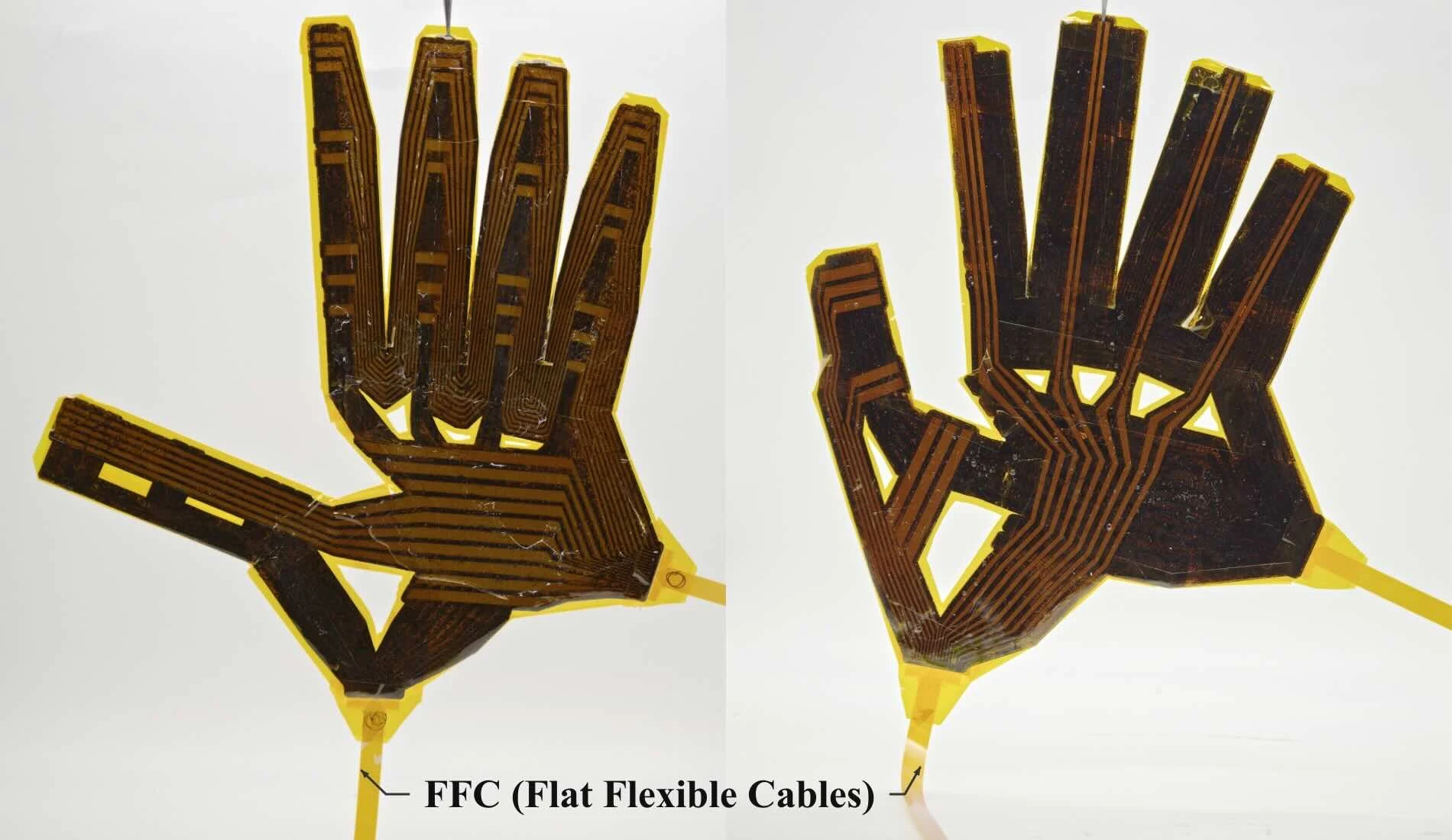 Robot and human tactile skins with corresponding finger and palm regions